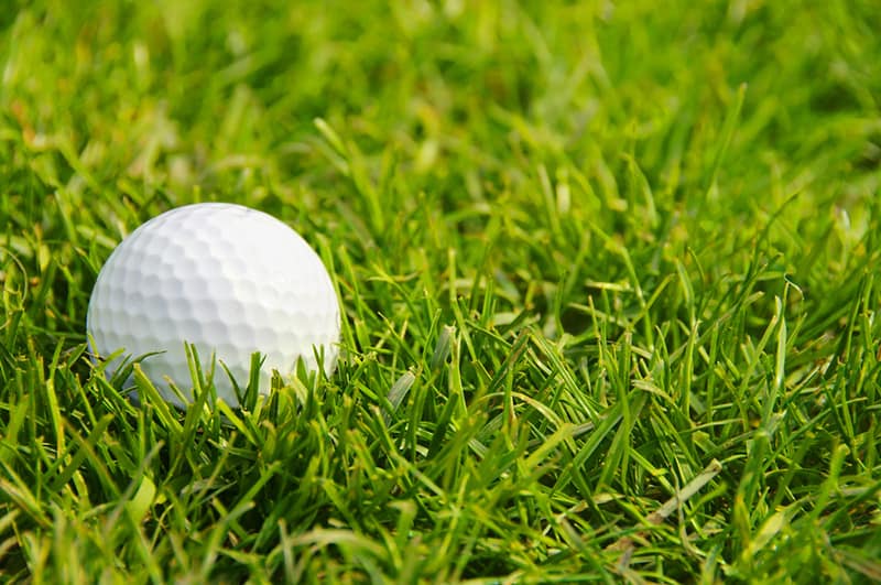 Golf balls in green grass