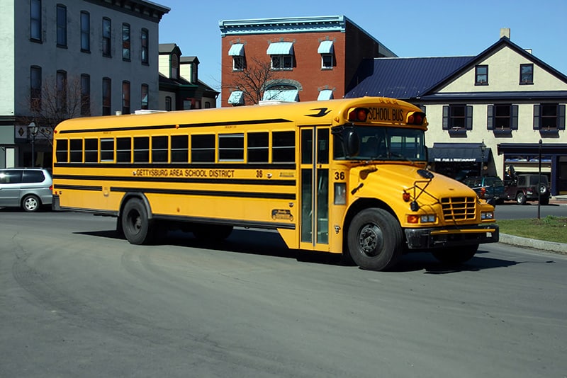 Regular school bus