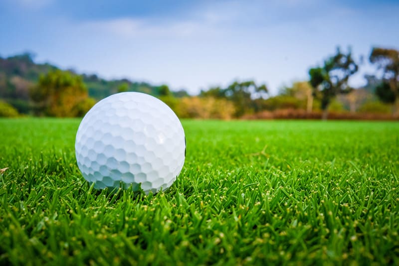 A golf ball usually has 300 - 400 dimples on it