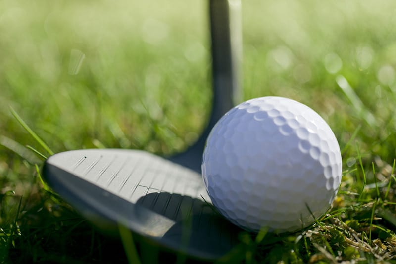 A lofted wedge is a proper facility to have high backspin