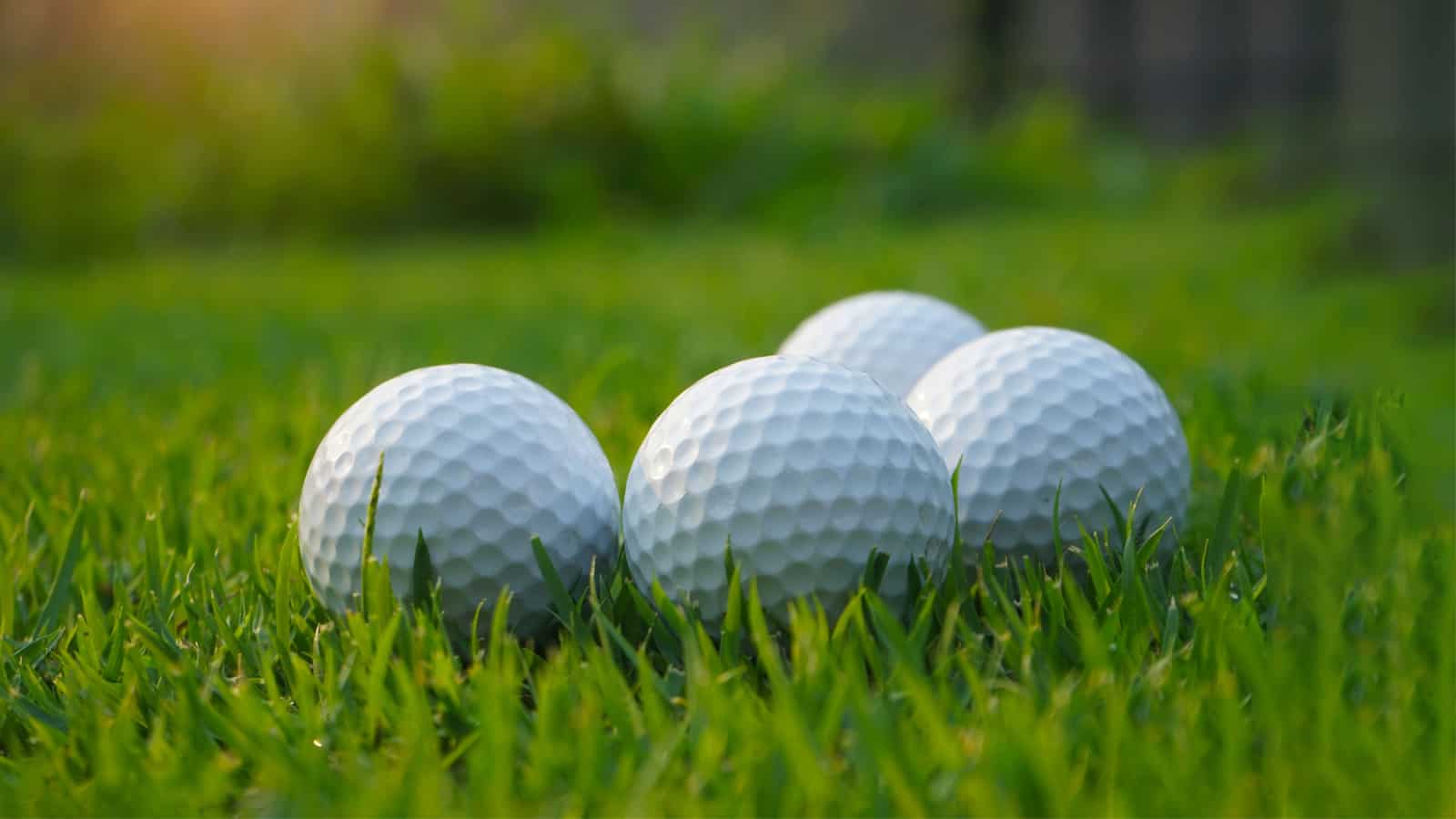 Matte-vs-Regular-Golf-Balls