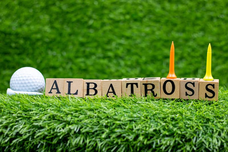 An-albatross-is-used-to-describe-one-of-the-best-scores-in-golf